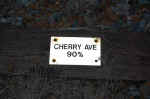 cherryavetie-mikemcdermet02-08.jpg (43436 bytes)