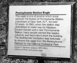 Penn-Station-Eagle-plaque_Smithsonian_c.late1990s_Morrison.jpg (75829 bytes)